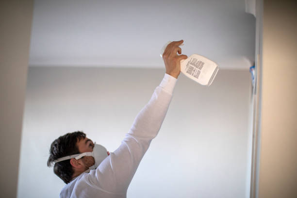 Best Crawl Space Mold Removal  in Santa Teresa, NM