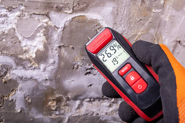 Best Mold Testing  in Santa Teresa, NM